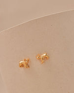 Aretes Bulldog Francés Mini