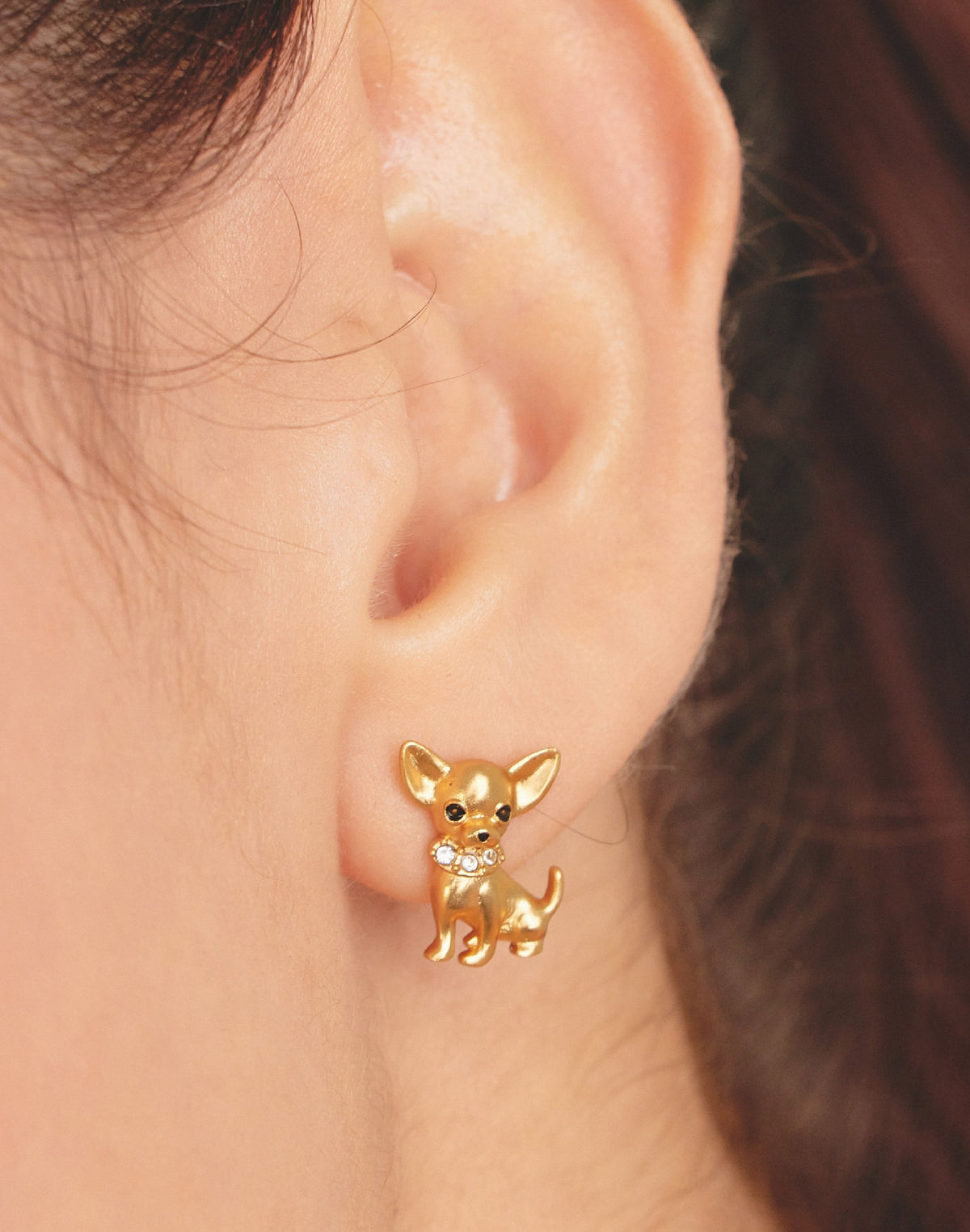 Aretes Chihuahua