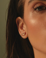 Aretes Delfín