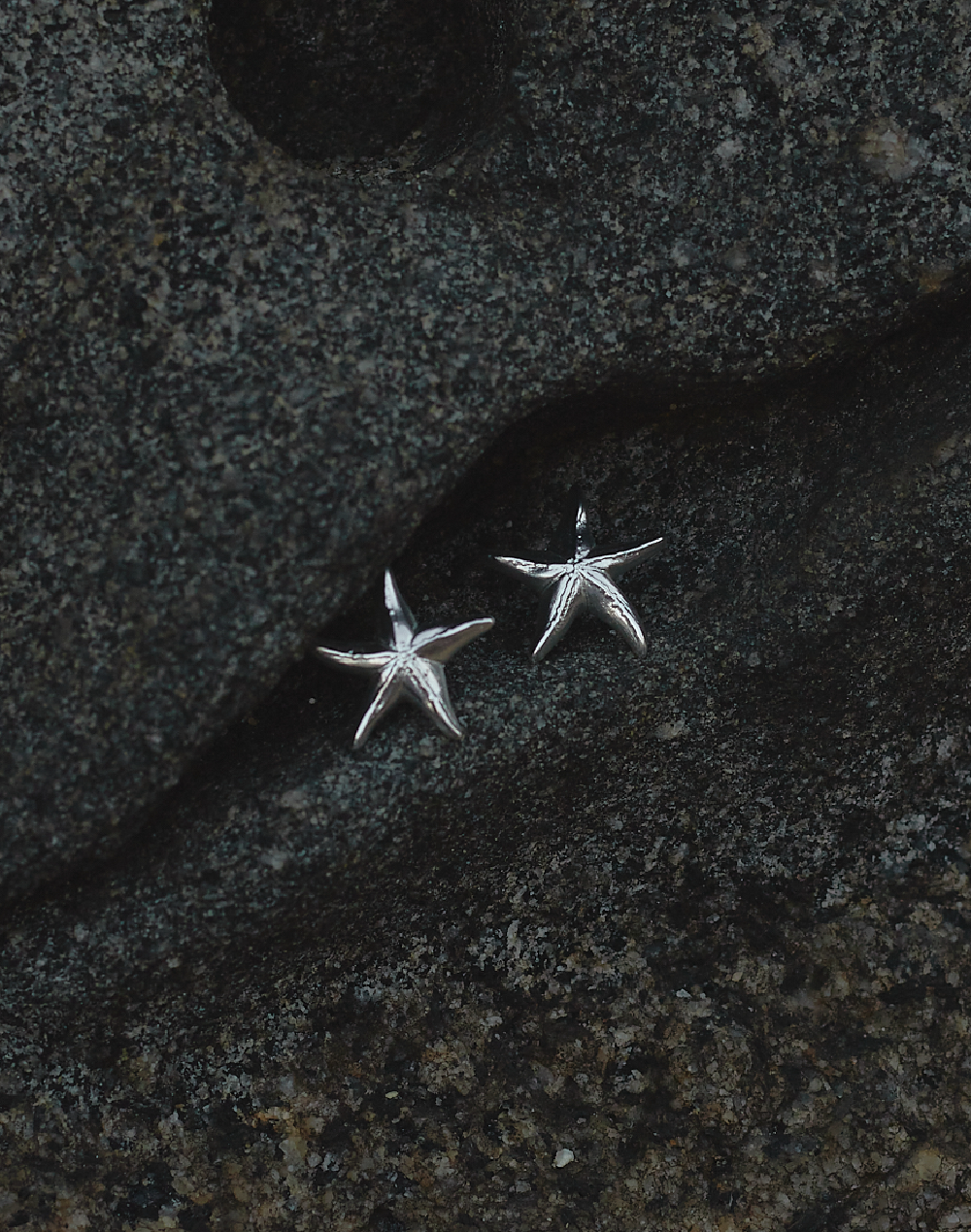 Aretes Estrella de Mar