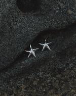 Aretes Estrella de Mar