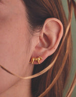 Aretes Puma
