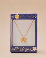 Collar Golden Retriever