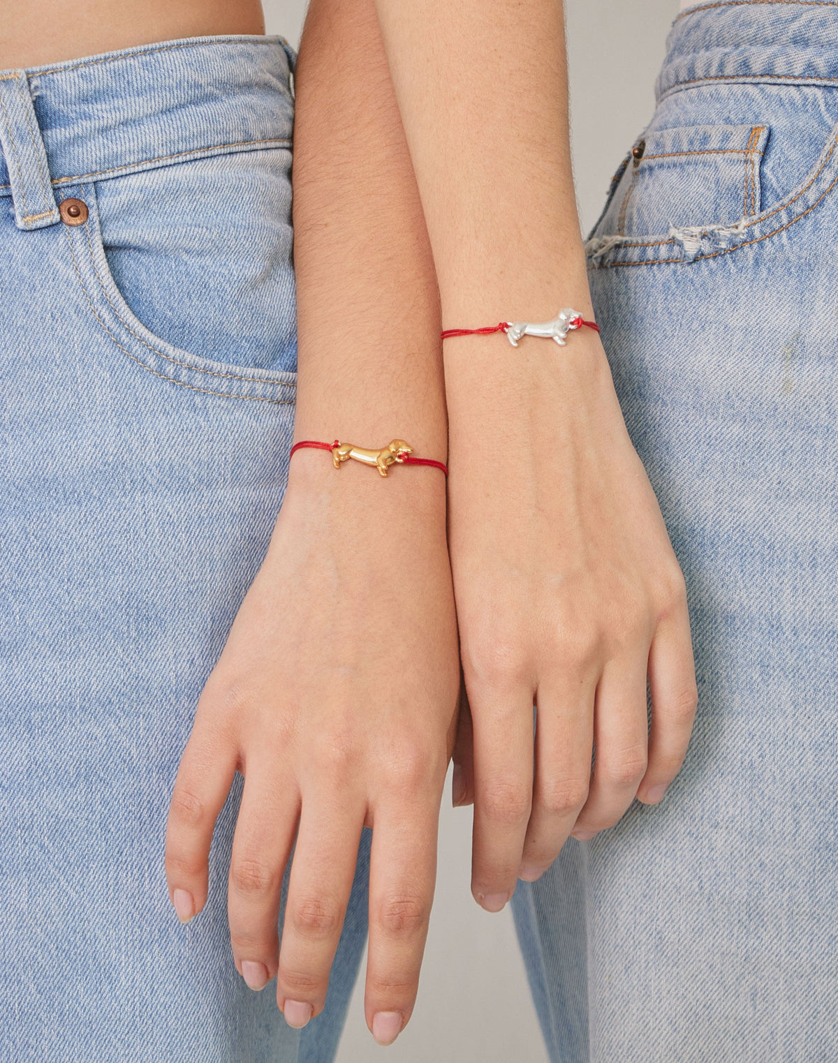 Manilla Perro Salchicha