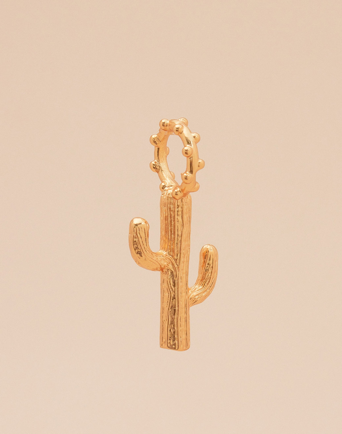 Maxi Charm Cactus