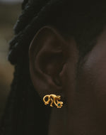 Maxi Collar + Aretes Salto del Mono