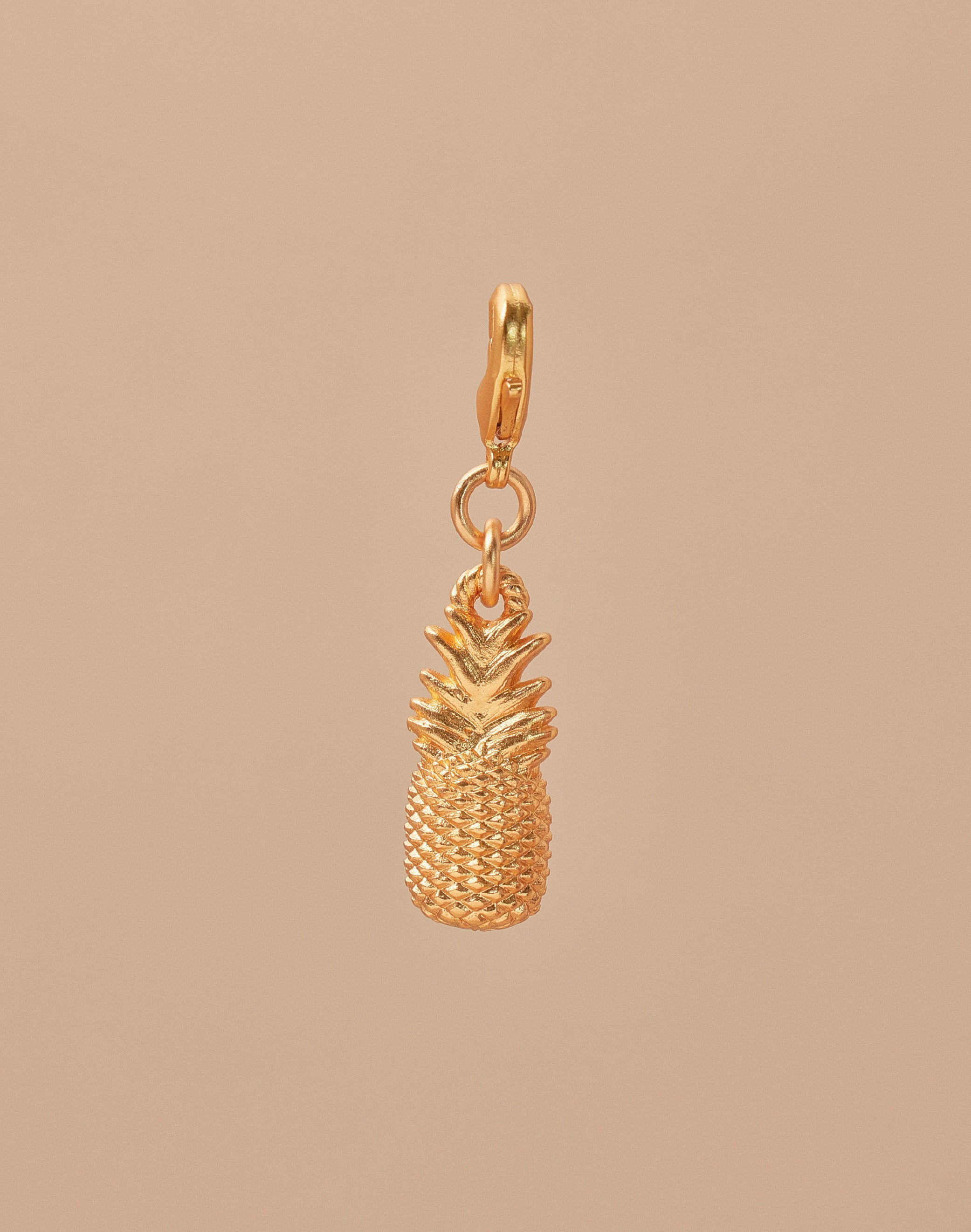 Mini Charm Piña