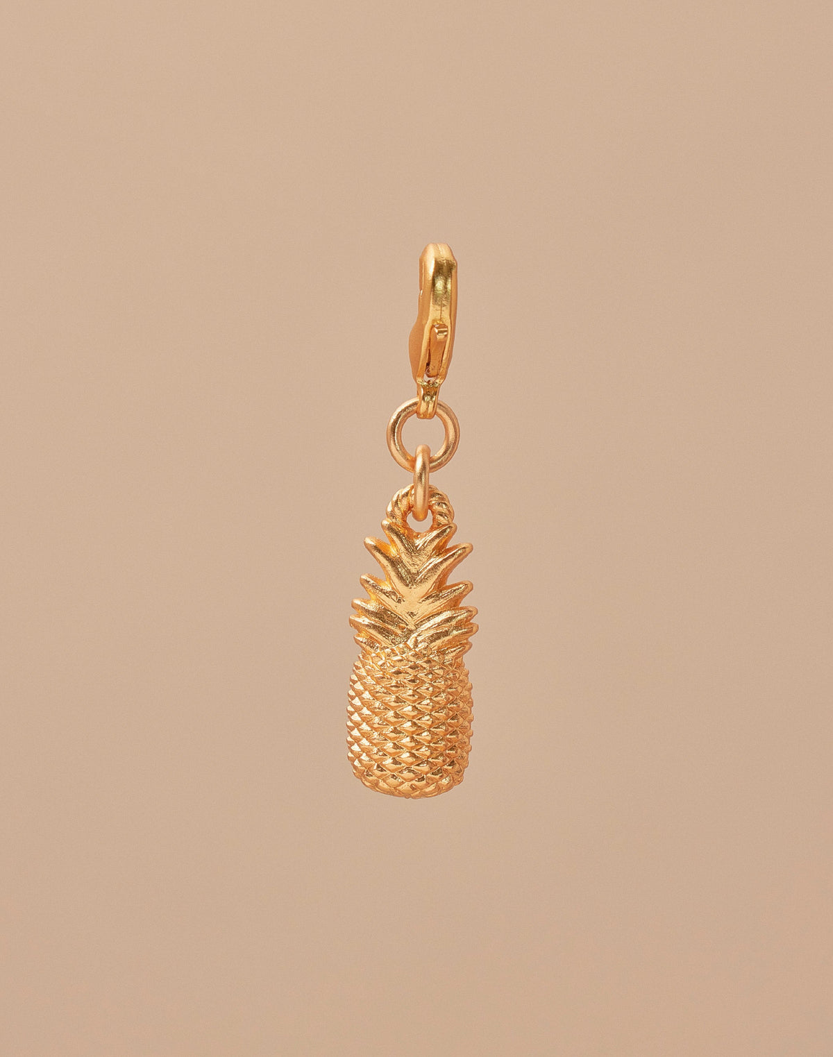 Mini Charm Piña