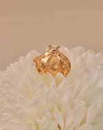 Set de 3 Earcuffs Naturaleza