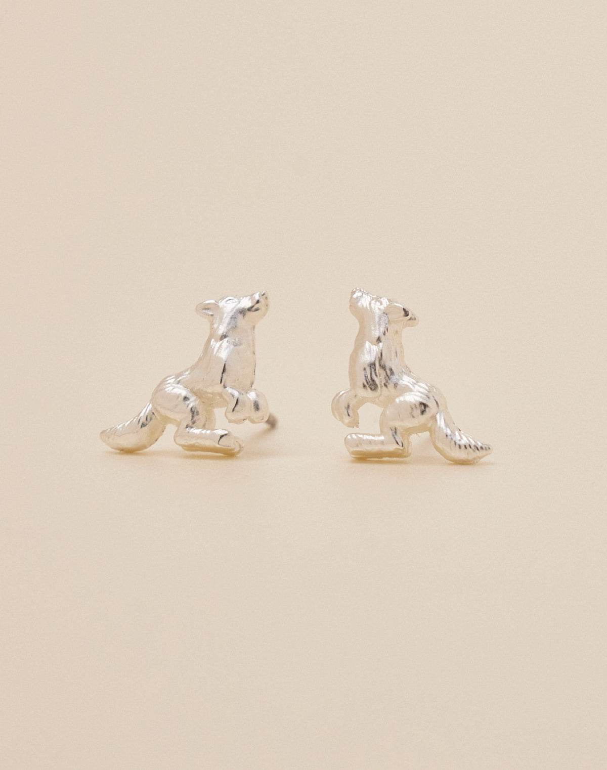 Set de 5 Aretes Boreales