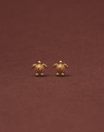 Set de 5 Aretes Mar y Selva