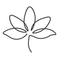 Inspirados en la magia de la naturaleza