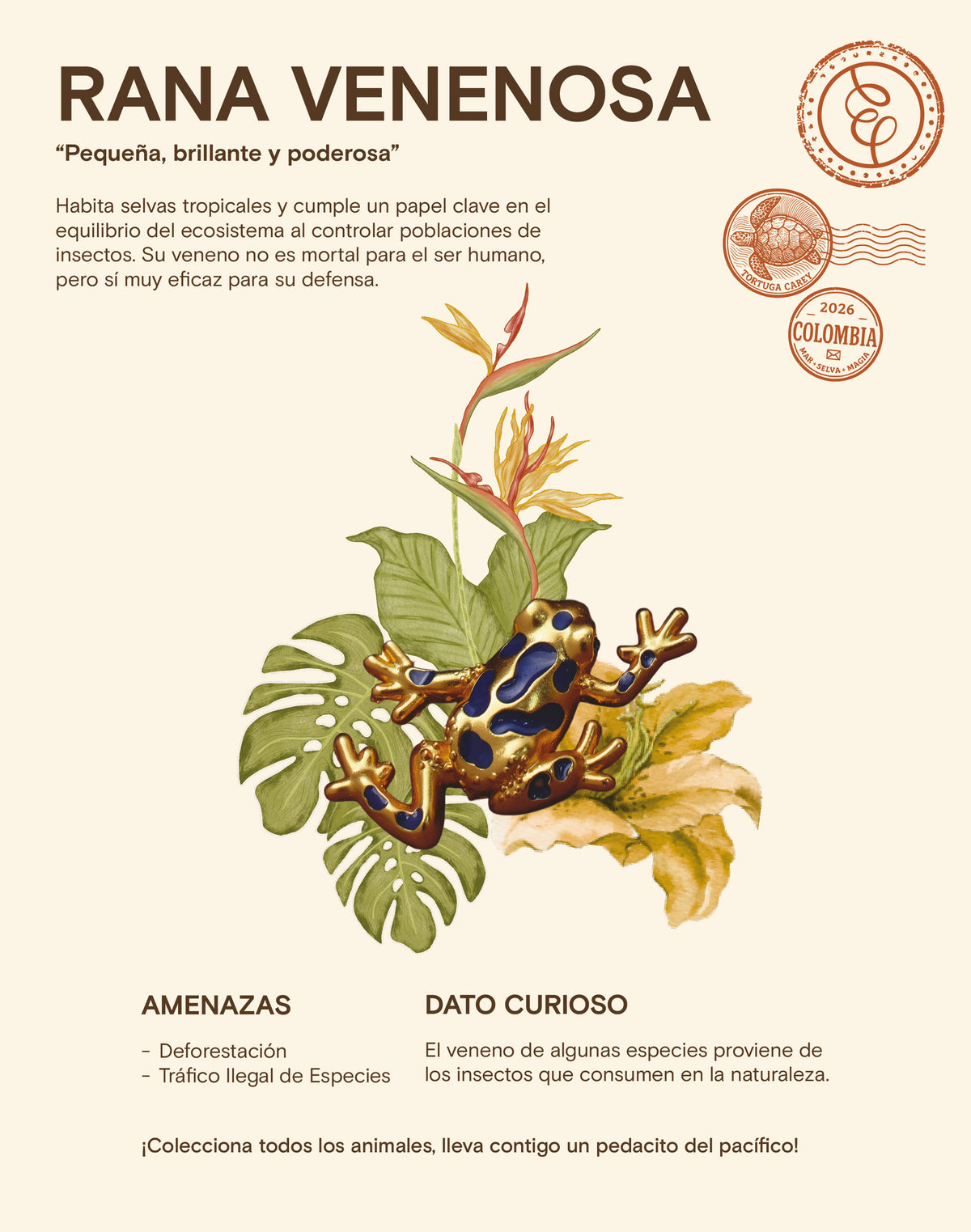 Set de 3 Pines Chocó